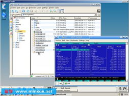 CygwinEasy2007光盤運行版與Cygwin Release 2006 回顧經(jīng)典Windows軟件開發(fā)與運行平臺服務